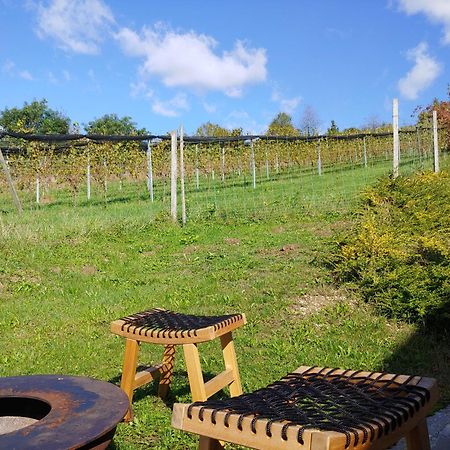 Kleine Reblaus Apartment Bad Waltersdorf Luaran gambar