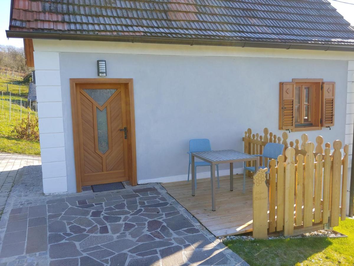 Kleine Reblaus Apartment Bad Waltersdorf Luaran gambar
