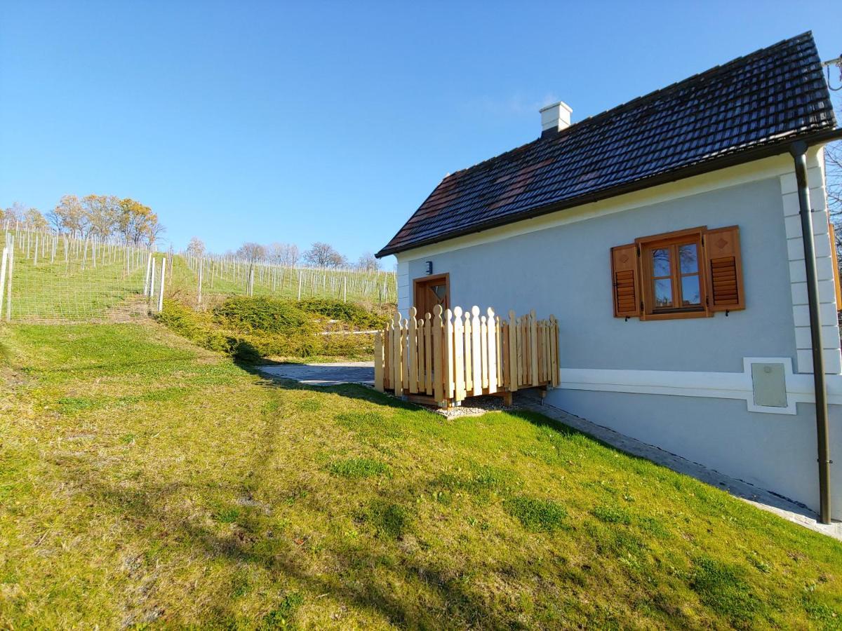 Kleine Reblaus Apartment Bad Waltersdorf Luaran gambar
