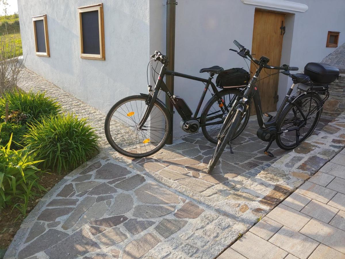 Kleine Reblaus Apartment Bad Waltersdorf Luaran gambar