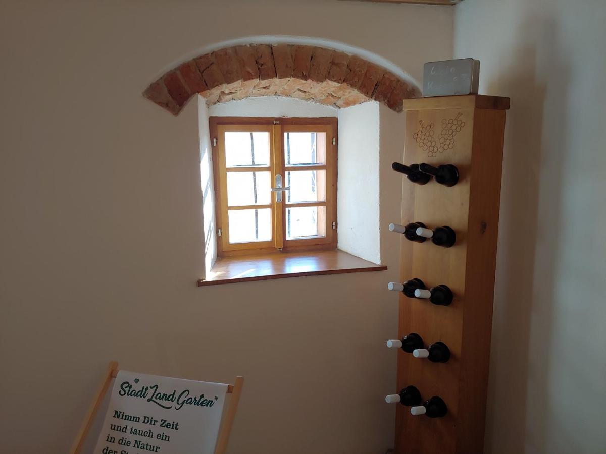 Kleine Reblaus Apartment Bad Waltersdorf Luaran gambar