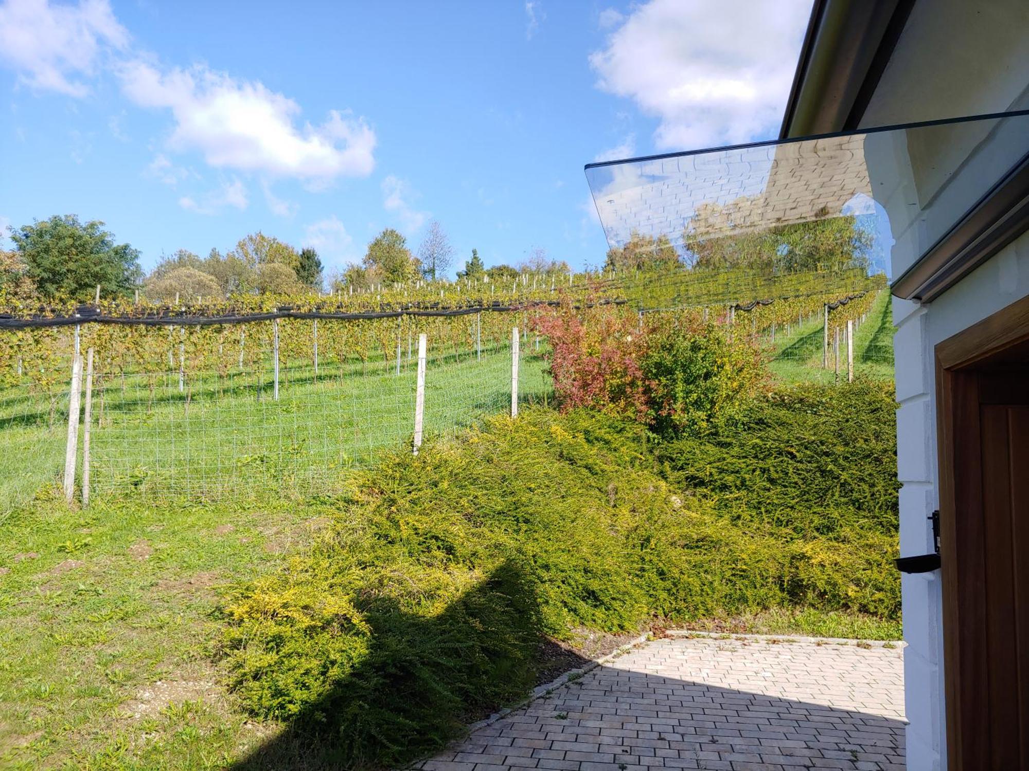 Kleine Reblaus Apartment Bad Waltersdorf Luaran gambar